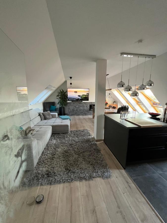 105 Qm Neues Klimatisiertes Appartment Fuer Familien Privater Parkplatz Chemnitz Dış mekan fotoğraf