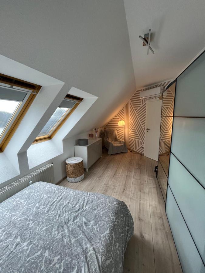 105 Qm Neues Klimatisiertes Appartment Fuer Familien Privater Parkplatz Chemnitz Dış mekan fotoğraf